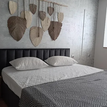 House Apartment Dolyna